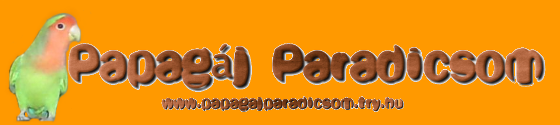 Papagj Paradicsom